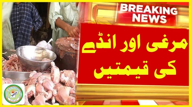 Pakistan Poultry Association Daily Rates – Updated Prices for October 25, 2025