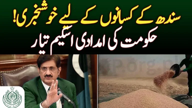 Sindh Wheat Growers Support Program 2025 – Rs. 25,000 Subsidy Per Acre Registration Open