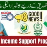 Benazir Income Support Programme 8171 New Payment Schedule & NADRA Check Guide
