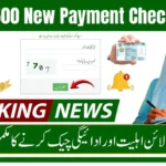 BISP 13,500 New Payment Check Online 2026 CNIC Verification via 8171